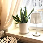 Sweet 40 Center Punavuori Апартаменты